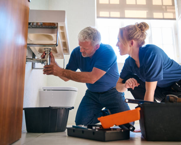 Best Local Plumber Services  in Kankakee, IL